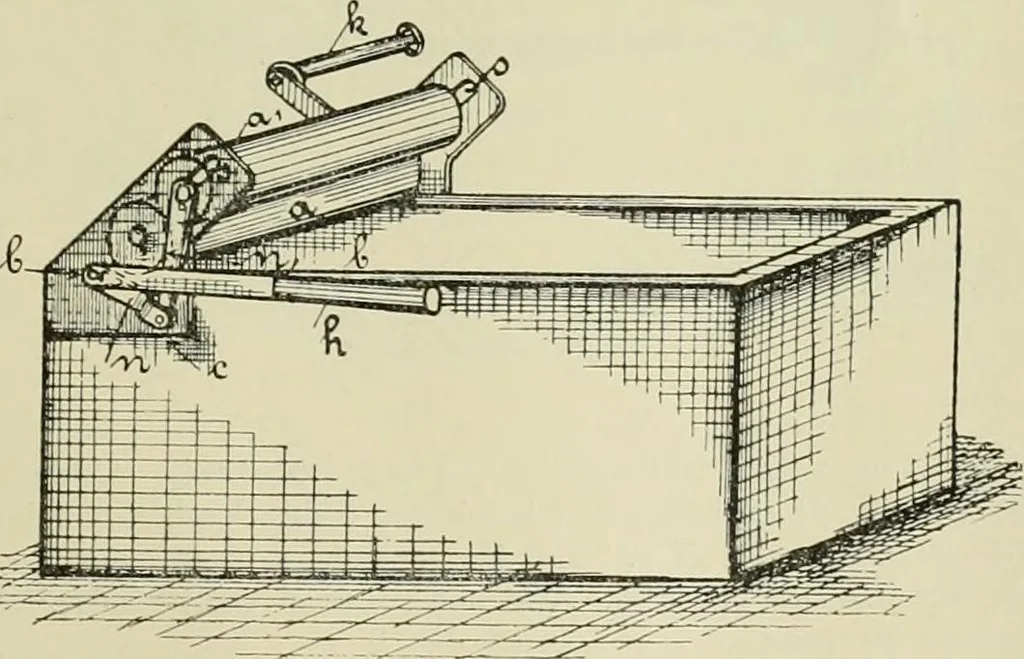 An illustration from The dyeing of cotton and other vegetable fibres with the dyestuffs of Leopold Cassella & Co. Frankfort o. M, 1902, leaf 244