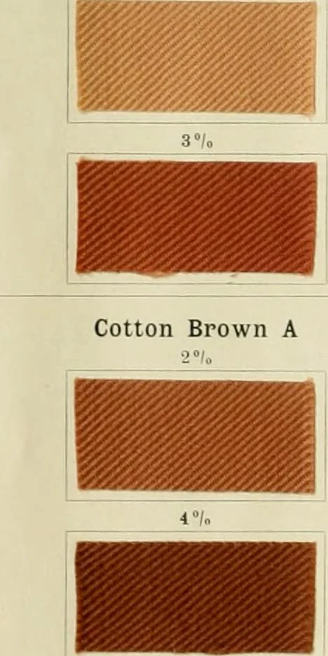 An illustration from The dyeing of cotton and other vegetable fibres with the dyestuffs of Leopold Cassella & Co. Frankfort o. M, 1902, leaf 35