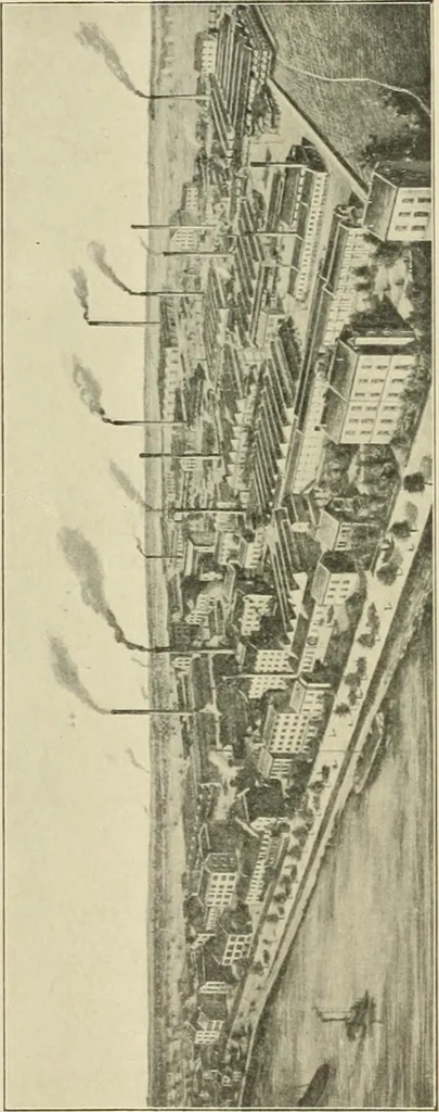An illustration from The dyeing of cotton and other vegetable fibres with the dyestuffs of Leopold Cassella & Co. Frankfort o. M, 1902, leaf 7
