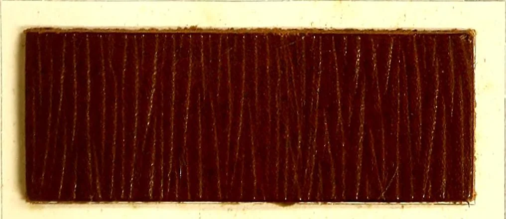 An illustration from The dyeing of leather with the dyestuffs of Cassella Color Company, 1910, leaf 38