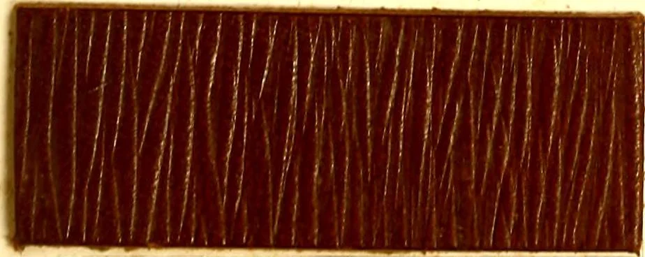 An illustration from The dyeing of leather with the dyestuffs of Cassella Color Company, 1910, leaf 38