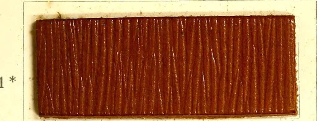 An illustration from The dyeing of leather with the dyestuffs of Cassella Color Company, 1910, leaf 38