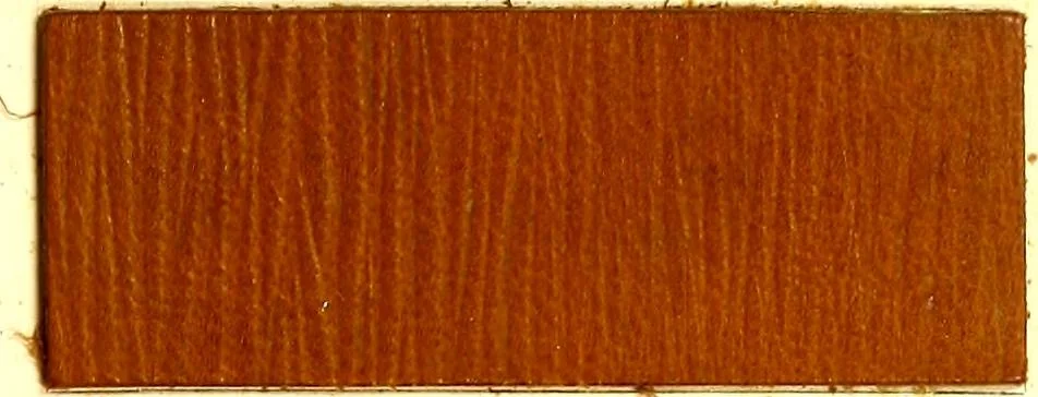 An illustration from The dyeing of leather with the dyestuffs of Cassella Color Company, 1910, leaf 38