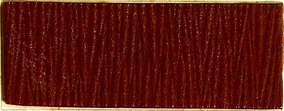 An illustration from The dyeing of leather with the dyestuffs of Cassella Color Company, 1910, leaf 38