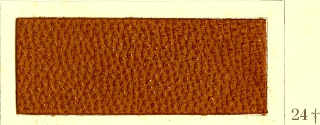 An illustration from The dyeing of leather with the dyestuffs of Cassella Color Company, 1910, leaf 42