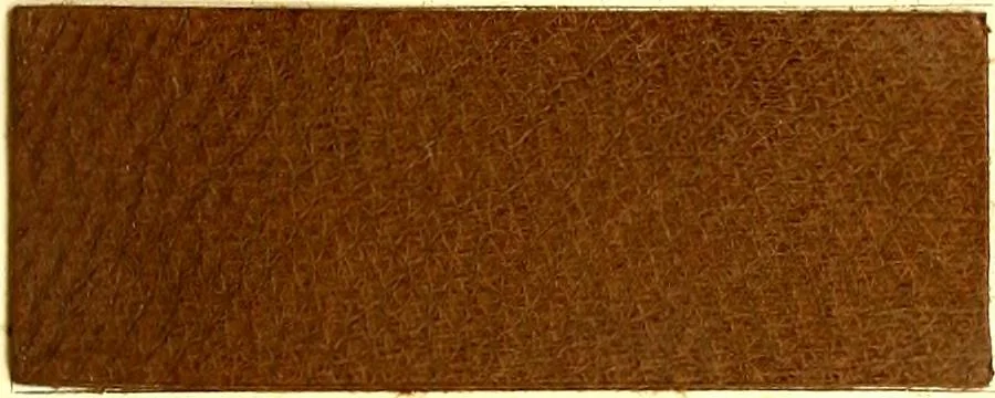 An illustration from The dyeing of leather with the dyestuffs of Cassella Color Company, 1910, leaf 44