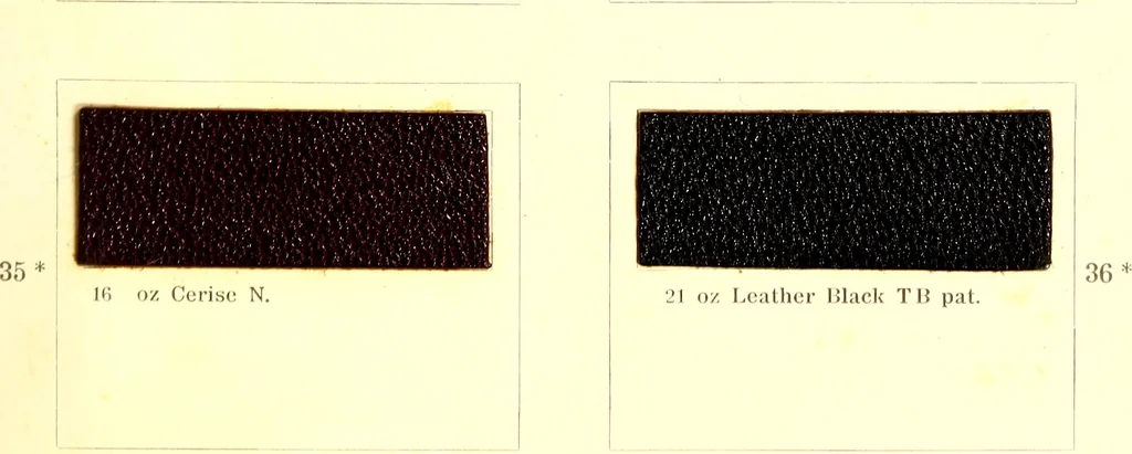 An illustration from The dyeing of leather with the dyestuffs of Cassella Color Company, 1910, leaf 44