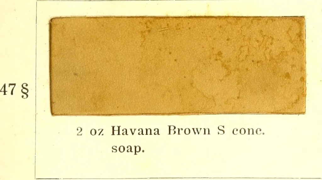 An illustration from The dyeing of leather with the dyestuffs of Cassella Color Company, 1910, leaf 48