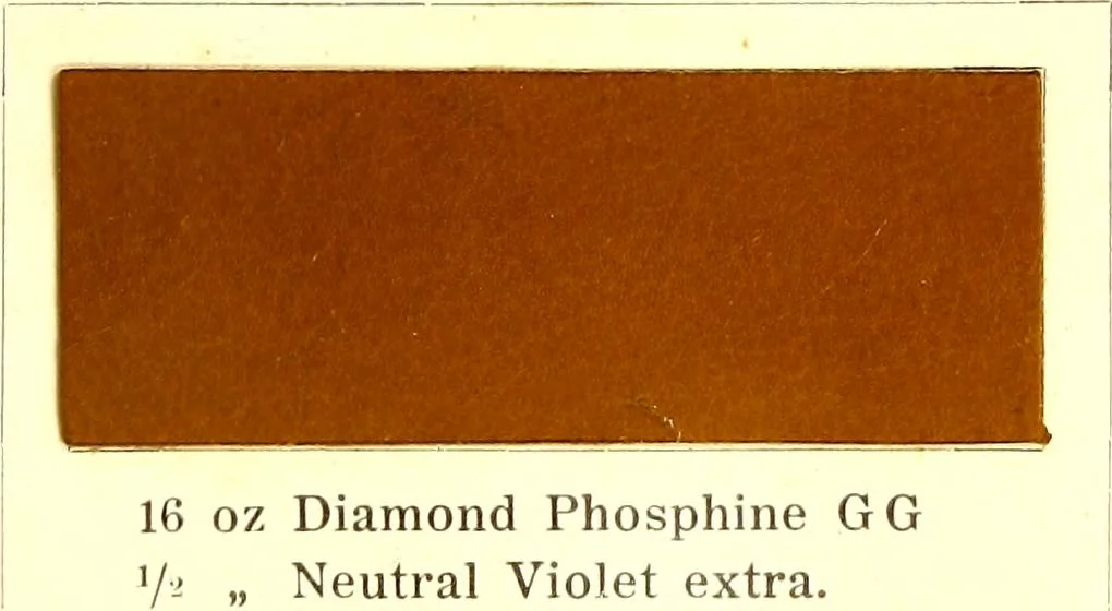 An illustration from The dyeing of leather with the dyestuffs of Cassella Color Company, 1910, leaf 48