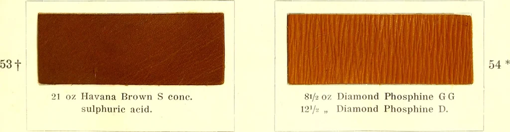An illustration from The dyeing of leather with the dyestuffs of Cassella Color Company, 1910, leaf 48