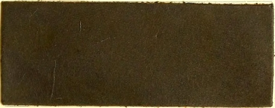 An illustration from The dyeing of leather with the dyestuffs of Cassella Color Company, 1910, leaf 52
