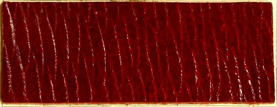 An illustration from The dyeing of leather with the dyestuffs of Cassella Color Company, 1910, leaf 54