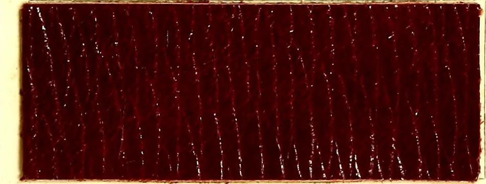 An illustration from The dyeing of leather with the dyestuffs of Cassella Color Company, 1910, leaf 54