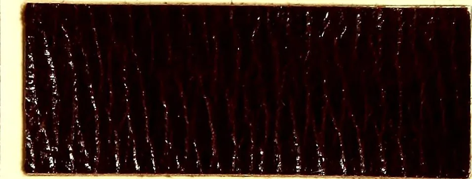 An illustration from The dyeing of leather with the dyestuffs of Cassella Color Company, 1910, leaf 54