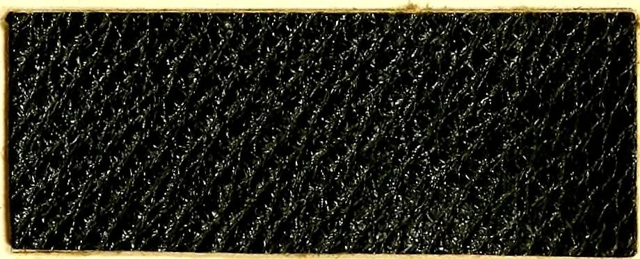 An illustration from The dyeing of leather with the dyestuffs of Cassella Color Company, 1910, leaf 58