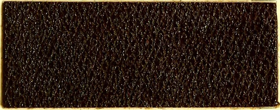 An illustration from The dyeing of leather with the dyestuffs of Cassella Color Company, 1910, leaf 58
