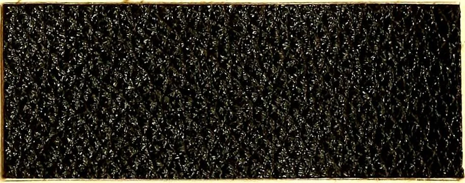 An illustration from The dyeing of leather with the dyestuffs of Cassella Color Company, 1910, leaf 58