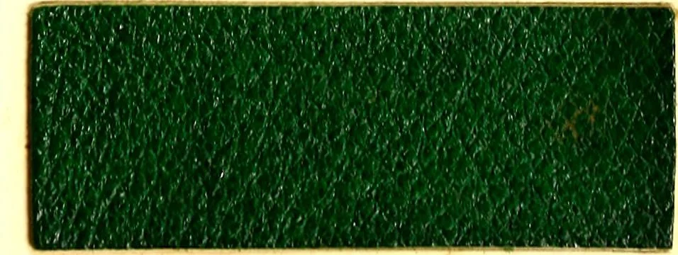 An illustration from The dyeing of leather with the dyestuffs of Cassella Color Company, 1910, leaf 58