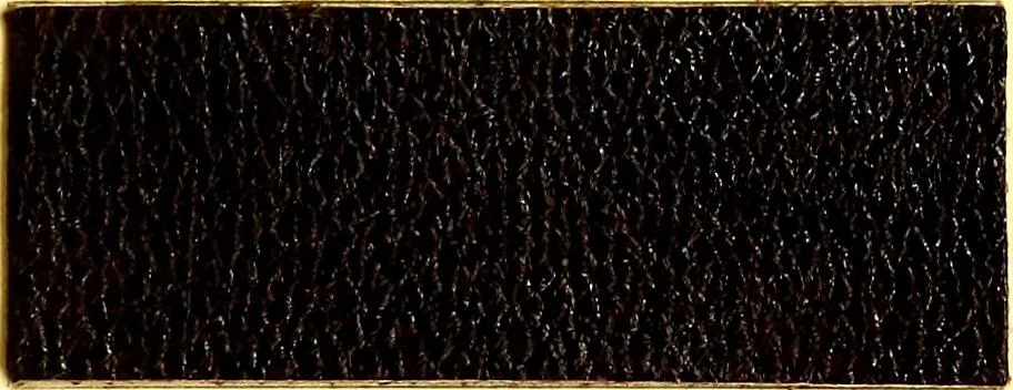 An illustration from The dyeing of leather with the dyestuffs of Cassella Color Company, 1910, leaf 64