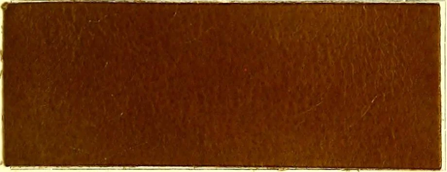 An illustration from The dyeing of leather with the dyestuffs of Cassella Color Company, 1910, leaf 64