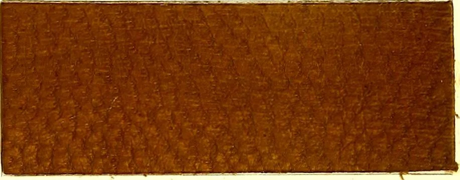 An illustration from The dyeing of leather with the dyestuffs of Cassella Color Company, 1910, leaf 64