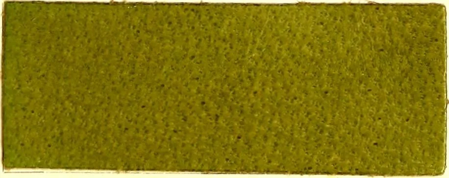 An illustration from The dyeing of leather with the dyestuffs of Cassella Color Company, 1910, leaf 64