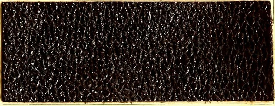An illustration from The dyeing of leather with the dyestuffs of Cassella Color Company, 1910, leaf 64