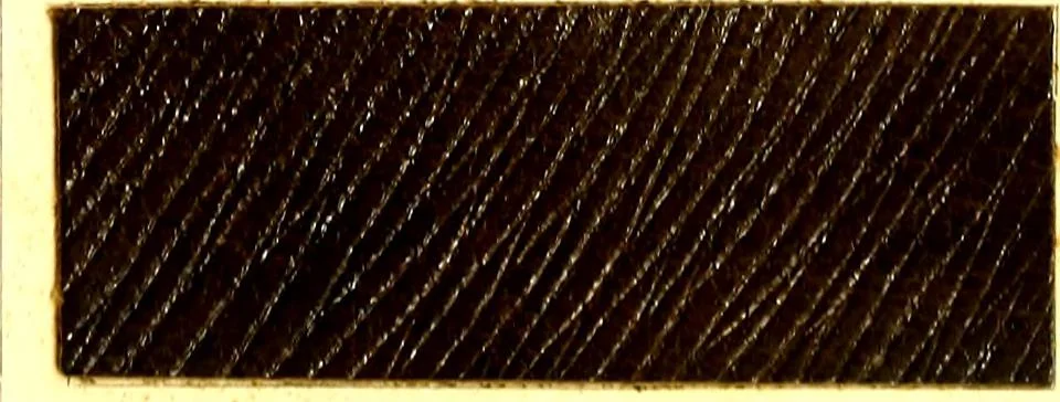 An illustration from The dyeing of leather with the dyestuffs of Cassella Color Company, 1910, leaf 64