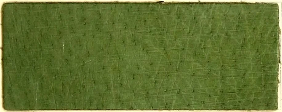 An illustration from The dyeing of leather with the dyestuffs of Cassella Color Company, 1910, leaf 68