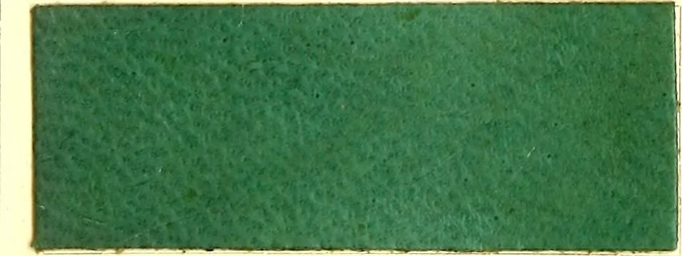 An illustration from The dyeing of leather with the dyestuffs of Cassella Color Company, 1910, leaf 68