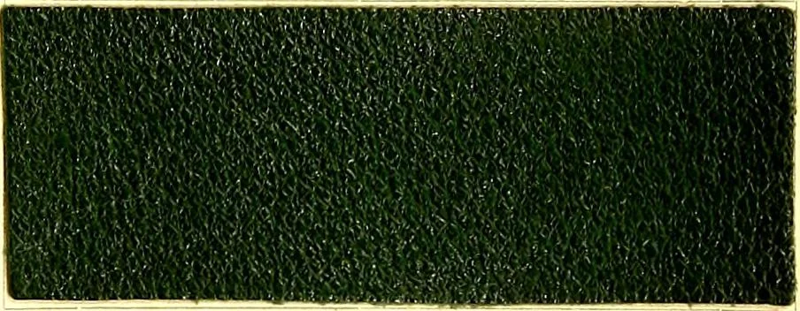 An illustration from The dyeing of leather with the dyestuffs of Cassella Color Company, 1910, leaf 68