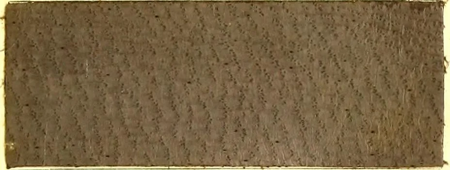 An illustration from The dyeing of leather with the dyestuffs of Cassella Color Company, 1910, leaf 70