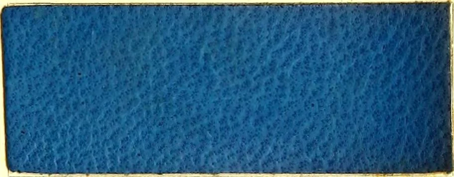An illustration from The dyeing of leather with the dyestuffs of Cassella Color Company, 1910, leaf 70