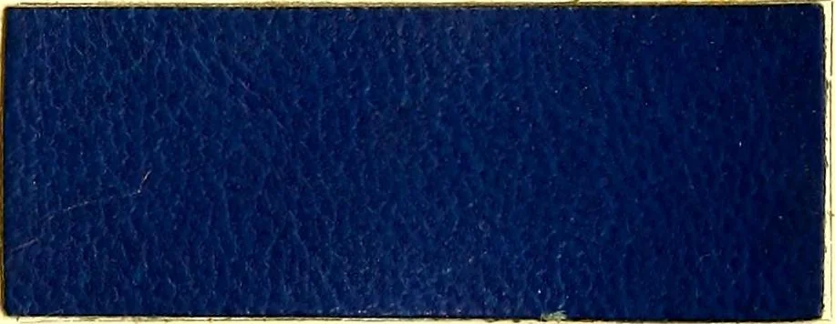 An illustration from The dyeing of leather with the dyestuffs of Cassella Color Company, 1910, leaf 70