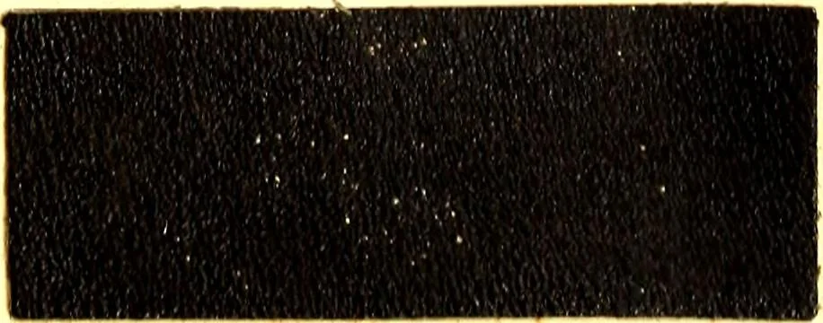 An illustration from The dyeing of leather with the dyestuffs of Cassella Color Company, 1910, leaf 70