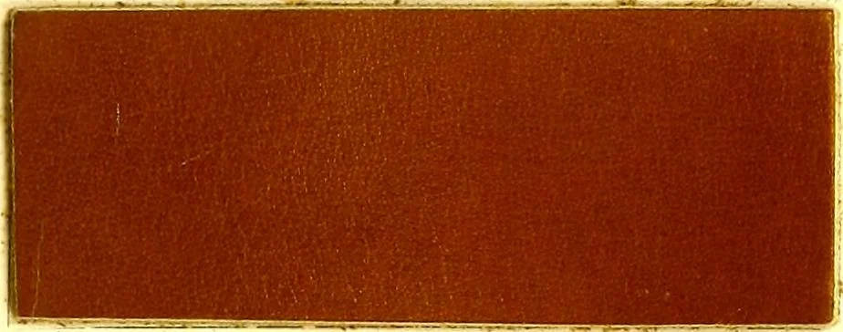 An illustration from The dyeing of leather with the dyestuffs of Cassella Color Company, 1910, leaf 72