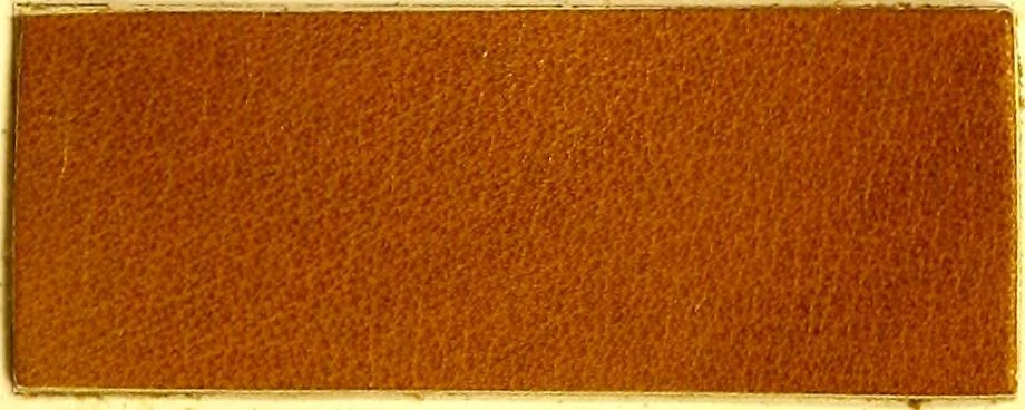 An illustration from The dyeing of leather with the dyestuffs of Cassella Color Company, 1910, leaf 72