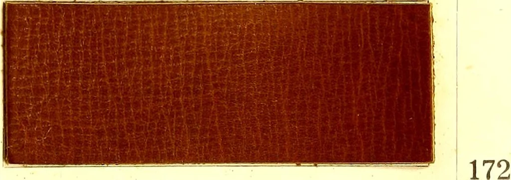 An illustration from The dyeing of leather with the dyestuffs of Cassella Color Company, 1910, leaf 72