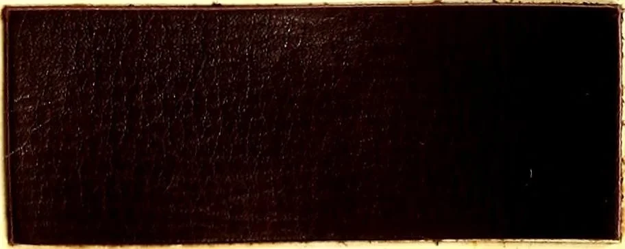An illustration from The dyeing of leather with the dyestuffs of Cassella Color Company, 1910, leaf 72