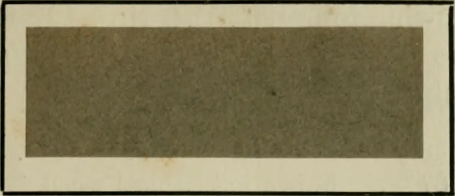 An illustration from The dyeing of paper pulp; a practical treatise for the use of papermakers, paperstainers, students and others, 1901, leaf 172