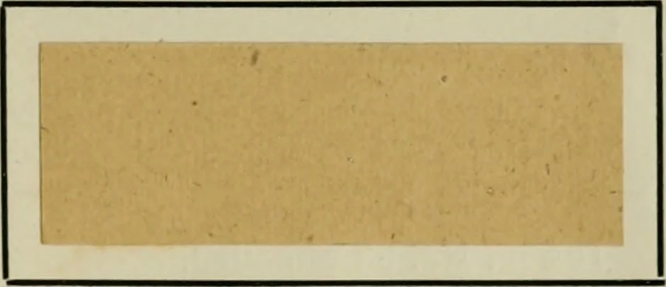 An illustration from The dyeing of paper pulp; a practical treatise for the use of papermakers, paperstainers, students and others, 1901, leaf 174