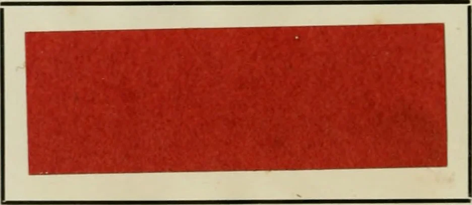 An illustration from The dyeing of paper pulp; a practical treatise for the use of papermakers, paperstainers, students and others, 1901, leaf 181