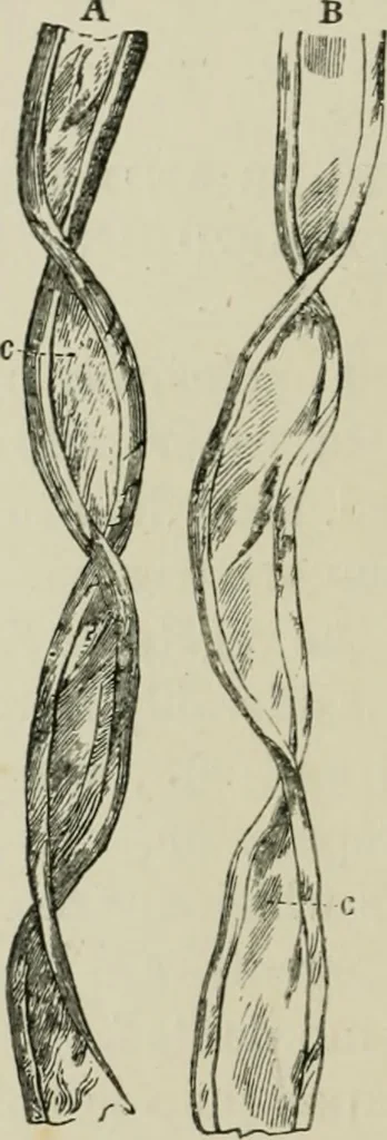 An illustration from The dyeing of paper pulp; a practical treatise for the use of papermakers, paperstainers, students and others, 1901, leaf 19