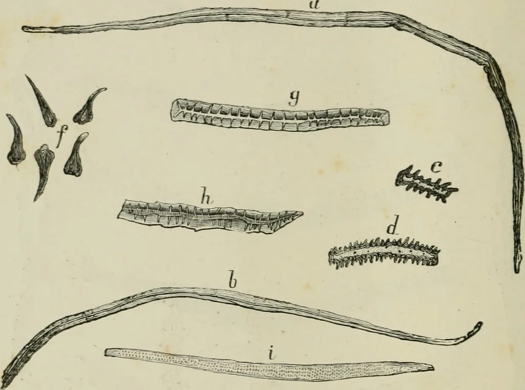 An illustration from The dyeing of paper pulp; a practical treatise for the use of papermakers, paperstainers, students and others, 1901, leaf 23