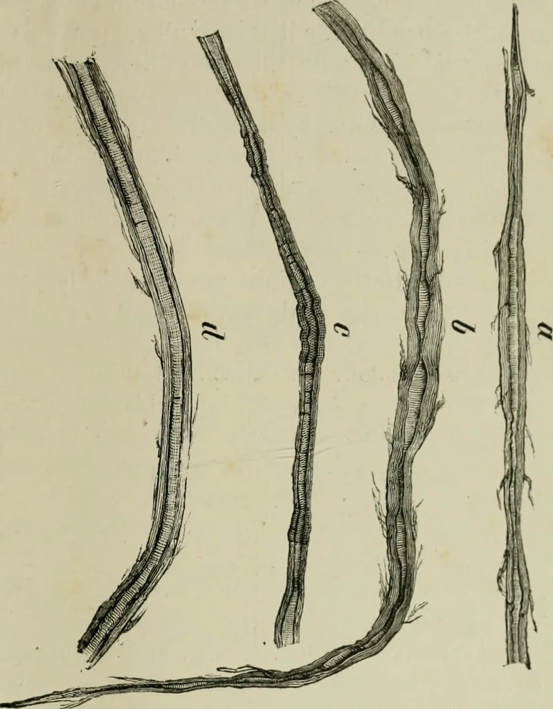 An illustration from The dyeing of paper pulp; a practical treatise for the use of papermakers, paperstainers, students and others, 1901, leaf 24
