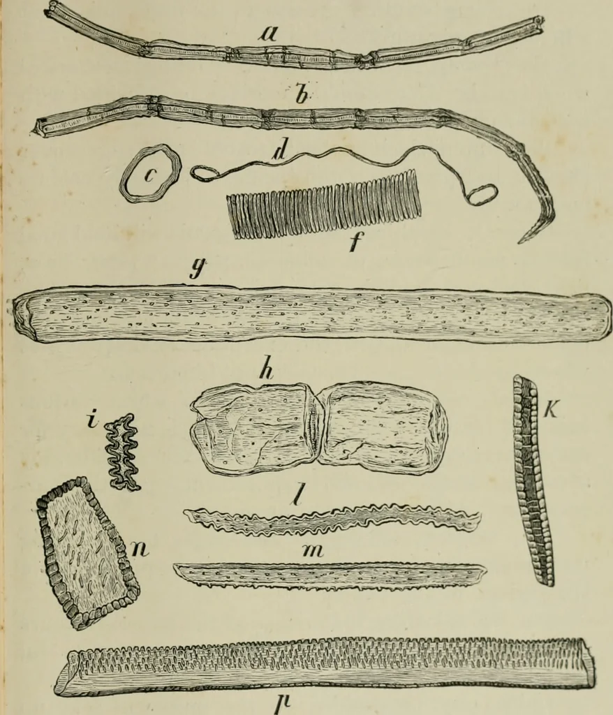 An illustration from The dyeing of paper pulp; a practical treatise for the use of papermakers, paperstainers, students and others, 1901, leaf 26