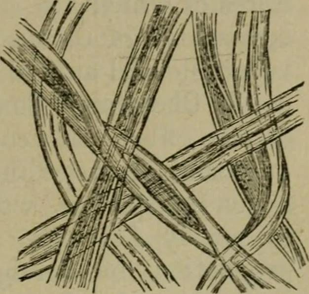 An illustration from The dyeing of textile fabrics, 1885, leaf 17