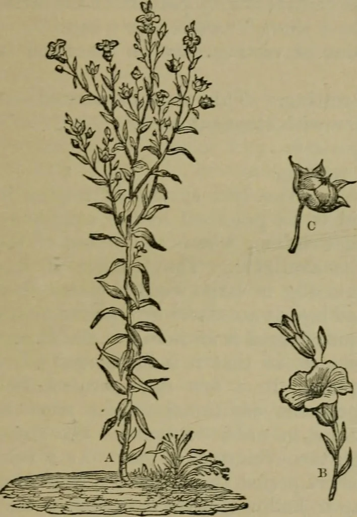 An illustration from The dyeing of textile fabrics, 1885, leaf 27