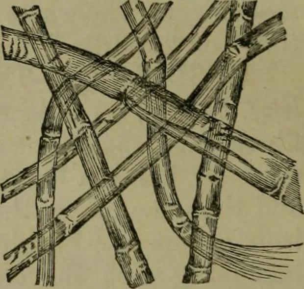 An illustration from The dyeing of textile fabrics, 1885, leaf 32