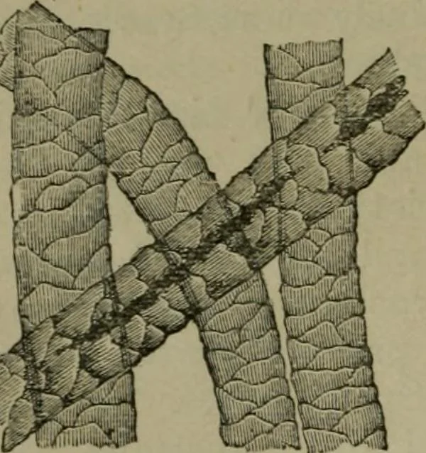 An illustration from The dyeing of textile fabrics, 1885, leaf 38